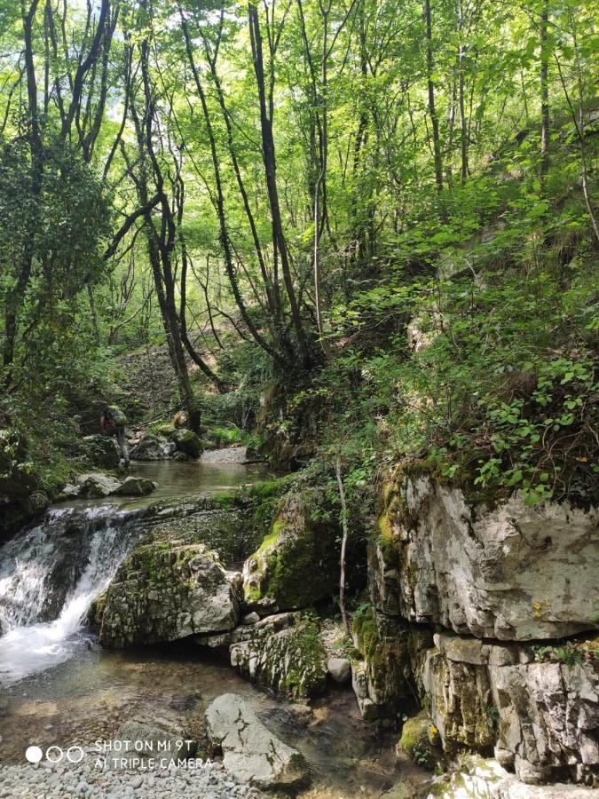 Agriturismo Revena Brentino Belluno Bagian luar foto