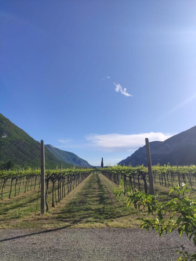 Agriturismo Revena Brentino Belluno Bagian luar foto