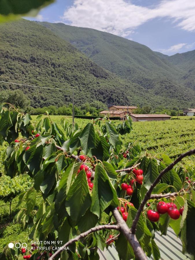 Agriturismo Revena Brentino Belluno Bagian luar foto